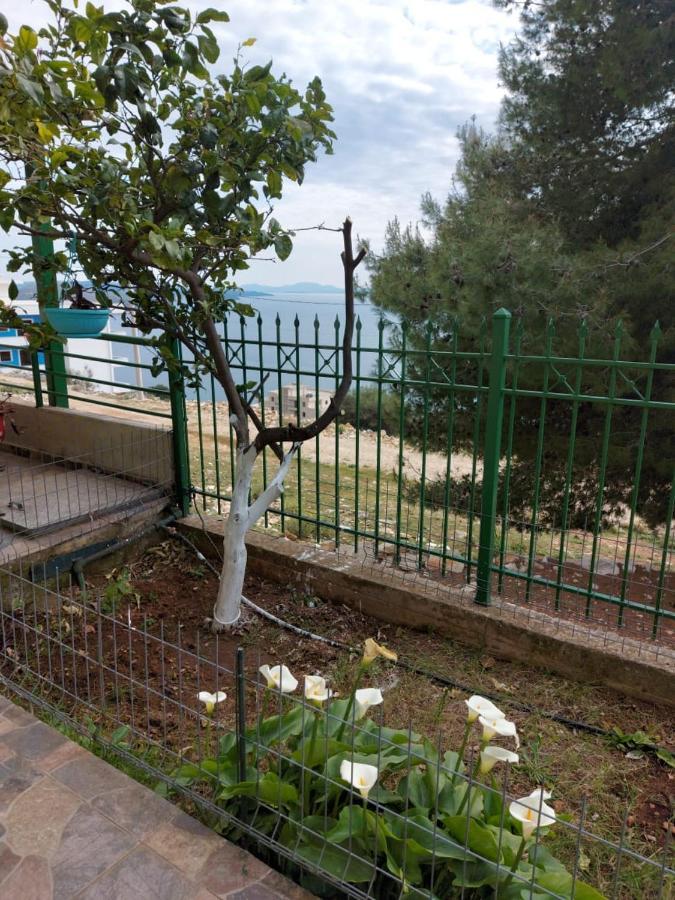 Villa Luiza ساراندا المظهر الخارجي الصورة